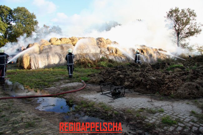 Regio Appelscha